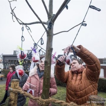 Gildebor biedt nieuwe ‘weggeefboom’ aan