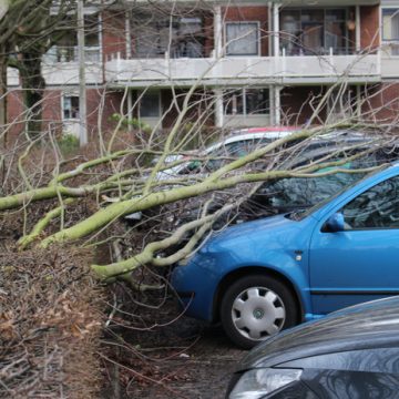 Veel schademeldingen in Hengelo na westerstorm