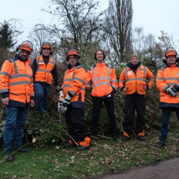 Gildebor volop bezig met de wintersnoei