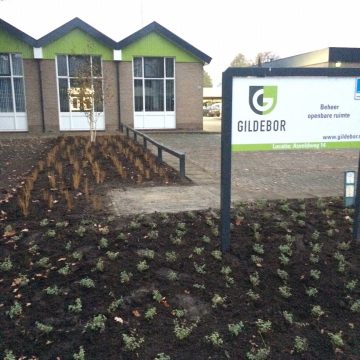 Nieuwe groene entree voor Gildebor in Hengelo aan Asveldweg
