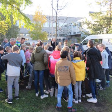 Leerlingen Willemschool helpen Gildebor bij planten sierappel