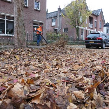 Gildebor maakt Hengelo bladvrij tijdens zesweekse bladcampagne