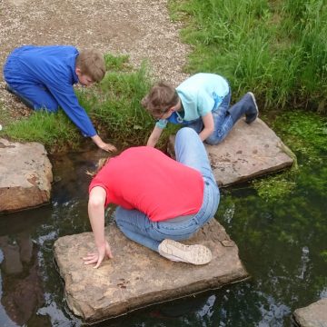 Kinderboerderij ‘t Weusthag helpt kinderen ‘met rugzak’ bij Project LEF