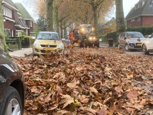 jaarlijkse bladcampagne