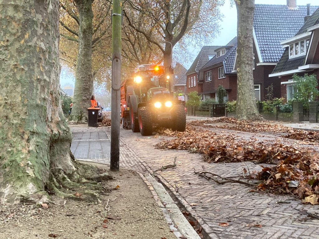 jaarlijkse bladcampagne