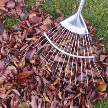 Bladruimen gaat weer van start