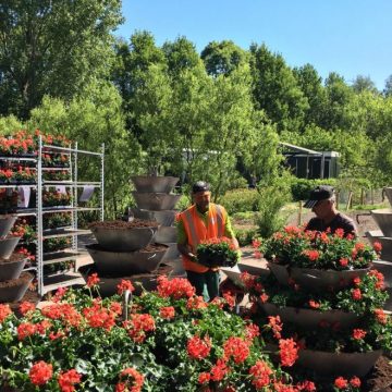 Wat een fleurigheid, bloemtorens worden weer geplaatst
