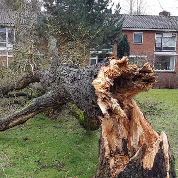 Gildebor druk in de weer met opruimen stormschade