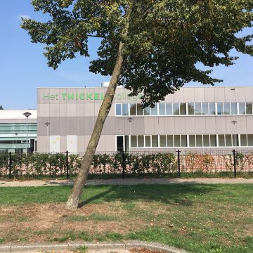 Gildebor verwijderd wegzakkende linde bij Twickel College