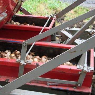 Gildebor huurt specialist Lubbe in voor aanplanten van bollen