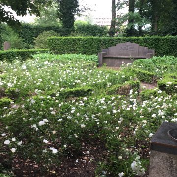 Groene parel van Hengelo krijgt alle aandacht