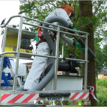 Gildebor heeft de handen vol aan het bestrijden van de eikenprocessierups.
