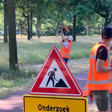 Gildebor start proef met speciaal lokmiddel om jeukrups te bestrijden