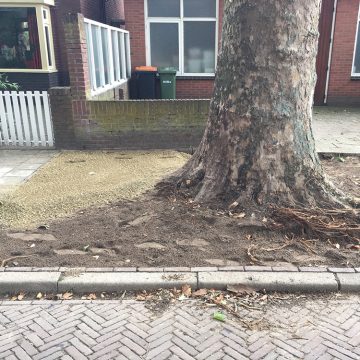 Gildebor in de krant ‘Wilbert: nooit meer struikelen’